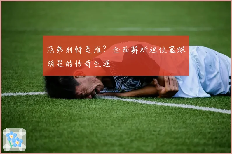 范弗利特是谁?全面解析这位篮球明星的传奇生涯