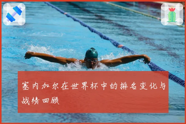 塞内加尔在世界杯中的排名变化与战绩回顾