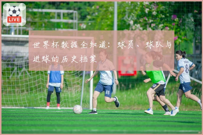 世界杯数据全知道：球员、球队与进球的历史档案