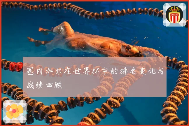 塞内加尔在世界杯中的排名变化与战绩回顾